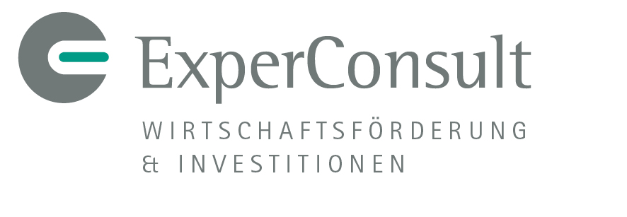 logo-experconsult.jpg